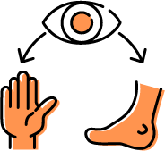 קוארדינציה עין-יד יד-רגל